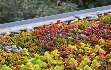the cost of Little Paxton green roof installation