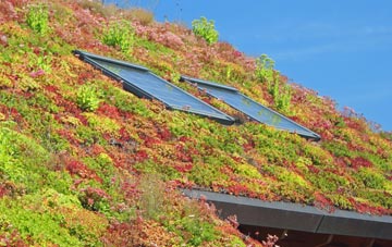 Little Paxton living roof systems
