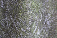 Little Paxton fibreglass roof work